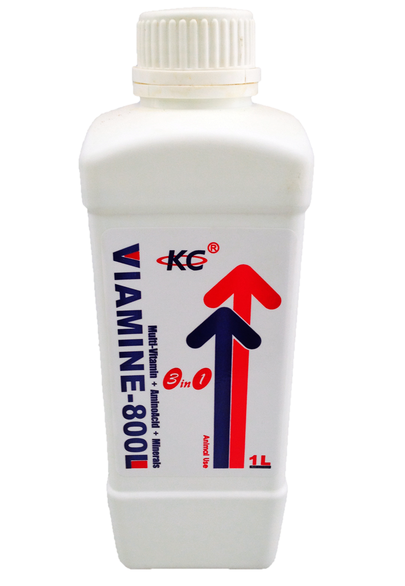 Kor-Chin Biotech - Viamine 800-L
